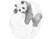 Předklížená vliesová tapeta na zeď, dekorace Panda, PLC049, Platinum Shapes, Decoprint