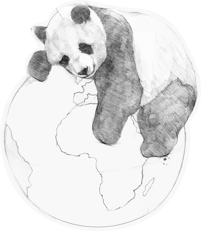 Předklížená vliesová tapeta na zeď, dekorace Panda, PLC049, Platinum Shapes, Decoprint - Vliesové tapety