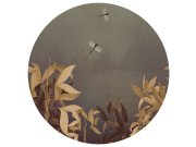 Předklížená kruhová vliesová tapeta na zeď, Vážky, PLC045, Platinum Shapes, Decoprint