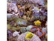 Vliesová tapeta na zeď, Podmořský svět GV24270, Good Vibes, Decoprint