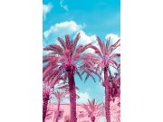 Obrazová vliesová tapeta na zeď, Palmy GVD24300, 180 x 280 cm, Good Vibes, Decoprint