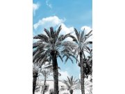 Obrazová vliesová tapeta na zeď, Palmy GVD24301, 180 x 280 cm, Good Vibes, Decoprint