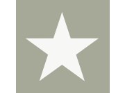 Šedozelená vliesová tapeta s bílými hvězdami 138949, Regatta Crew, Esta Home