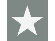 Tmavě šedá vliesová tapeta s bílými hvězdami 138950, Regatta Crew, Esta Home