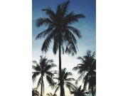 Vliesová obrazová tapeta s palmami 158849, 186 x 279 cm, Regatta Crew, Esta Home Tapety Yara - Esta Home