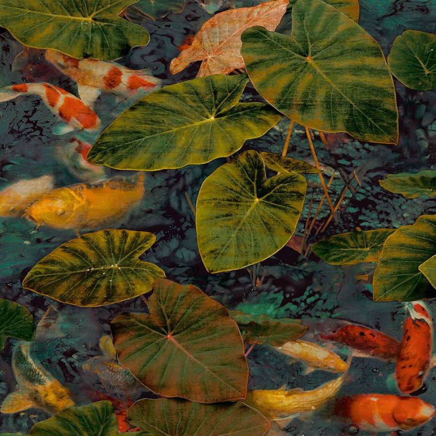 Tapety Yara - Tapety dle materiálu - Vliesové tapety - Vliesová tapeta na zed, ryby mezi lekníny WL2402, Wanderlust, Grandeco Vliesová tapeta na zed, ryby mezi lekníny WL2402, Wanderlust, Grandeco - Vliesové tapety