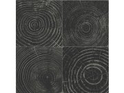 Černo-stříbrná vliesová tapeta, imitace dřeva s letokruhy 347544, Matières - Wood, Origin