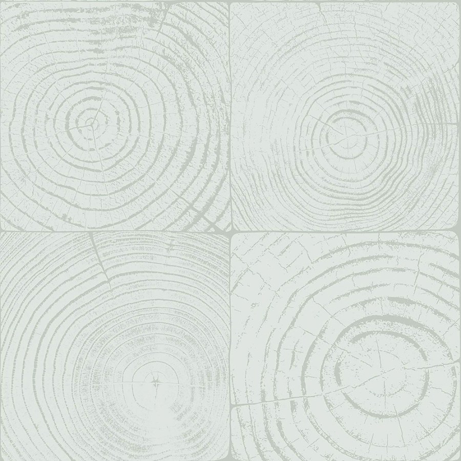 Světle tyrkysová vliesová tapeta, imitace dřeva s letokruhy 347545, Matières - Wood, Origin - Vliesové tapety