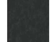Černá, jemně žíhaná vliesová tapeta na zeď 136408, Black & White, Esta