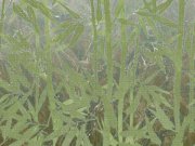 Luxusní fototapeta na zed Bambus Z90072, 330 x 300 cm, Automobili Lamborghini 2, Zambaiti Parati