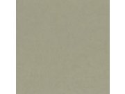 Vliesová tapeta imitace stěrkové omítky Z46053, Trussardi 6, Zambaiti Parati