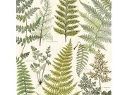 Obrazová tapeta Listy kapradin 366104, 309017, 232,5x280cm, Wallpower Favorites, Eijffinger Tapety Yara - Eijffinger