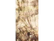 Vliesová obrazová tapeta 379102, 309022, 159x280cm, Wallpower Favorites, Eijffinger