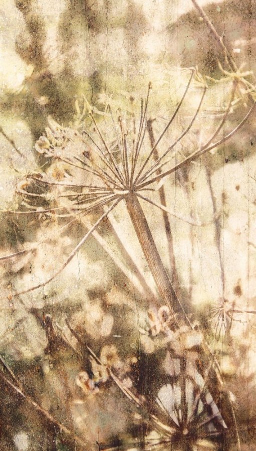 Vliesová obrazová tapeta 379102, 309022, 159x280cm, Wallpower Favorites, Eijffinger - Tapety na zeď