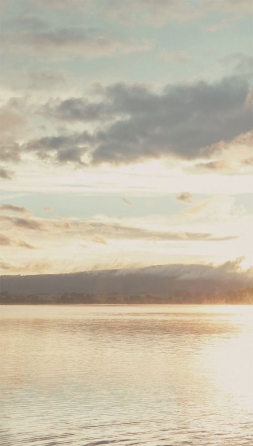 Vliesová obrazová tapeta 379103, 309023, Wallpower Favorites, 159x280cm, Eijffinger - Tapety na zeď