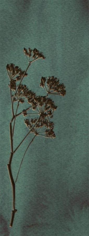 Vliesová obrazová tapeta 379104, 309024, 106x280cm, Wallpower Favorites, Eijffinger - Tapety na zeď