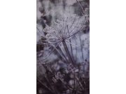 Vliesová obrazová tapeta 379106, 309026, 159x280cm, Wallpower Favorites, Eijffinger