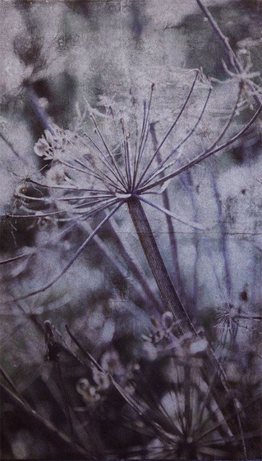 Vliesová obrazová tapeta 379106, 309026, 159x280cm, Wallpower Favorites, Eijffinger - Tapety na zeď