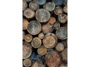 Vliesová obrazová tapeta, dřevo, 158206, 1,86 x 2,79 m, Scandi cool, Esta