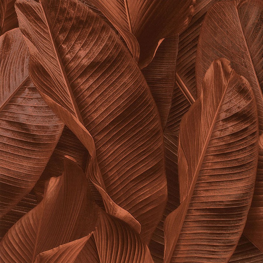 Tapety Yara - Tapety na zeď - Luxusní vliesová tapeta 17810, Listy, Lymphae, Limonta Luxusní vliesová tapeta 17810, Listy, Lymphae, Limonta - Tapety na zeď