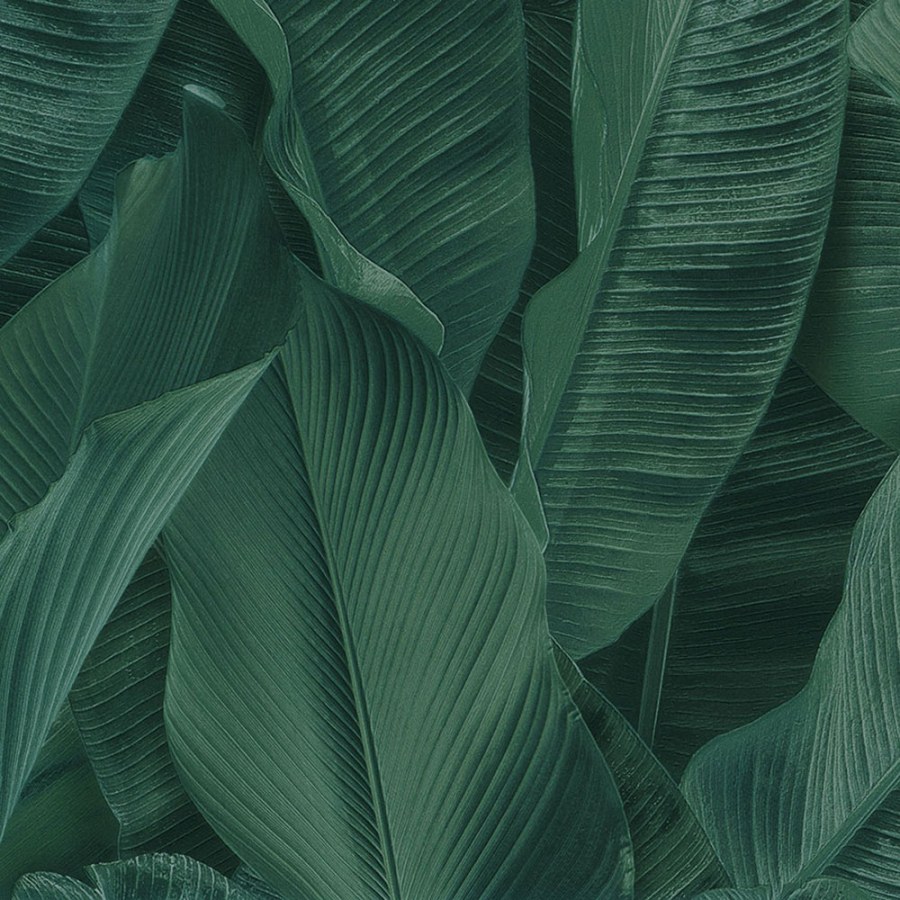 Luxusní vliesová tapeta 17813, Listy, Lymphae, Limonta - Tapety na zeď