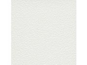 Omyvatelná vinylová tapeta na zeď 9250-1, Old Friends II, Vavex