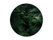 Luxusní kruhová tapeta Kapradiny o průměru 145 cm, 300338 Circles, BN Walls