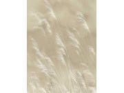 Vliesová obrazová tapeta Tráva, 300900, Waterlands, 210 x 280 cm, Waterfront, Eijffinger