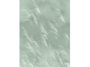 Vliesová obrazová tapeta Tráva, 300901, Waterlands, 210 x 280 cm, Waterfront, Eijffinger