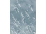 Vliesová obrazová tapeta Tráva, 300902, Waterlands, 210 x 280 cm, Waterfront, Eijffinger