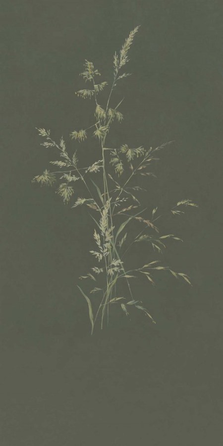 Vliesová obrazová tapeta Tráva, 300905, Aqua Twigs, 140 x 280 cm, Waterfront, Eijffinger - Vliesové tapety