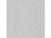 Elegantní šedo-stříbrná vliesová tapeta na zeď GT1502, Vavex 2022, Texture Vavex