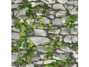 Omyvatelná vinylová tapeta Kámen s břečťanem, 5695-10, Vavex 2022