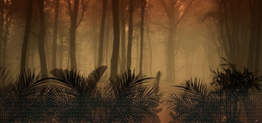 Vliesová obrazová tapeta 200286, Digital-Seasons - Autumn, 560 x 280 cm, Dimensions, BN Walls - Tapety na zeď