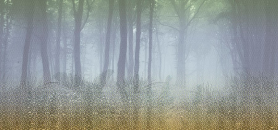 Vliesová obrazová tapeta 200284, Digital-Seasons - Summer, 560 x 280 cm, Dimensions, BN Walls - Tapety na zeď