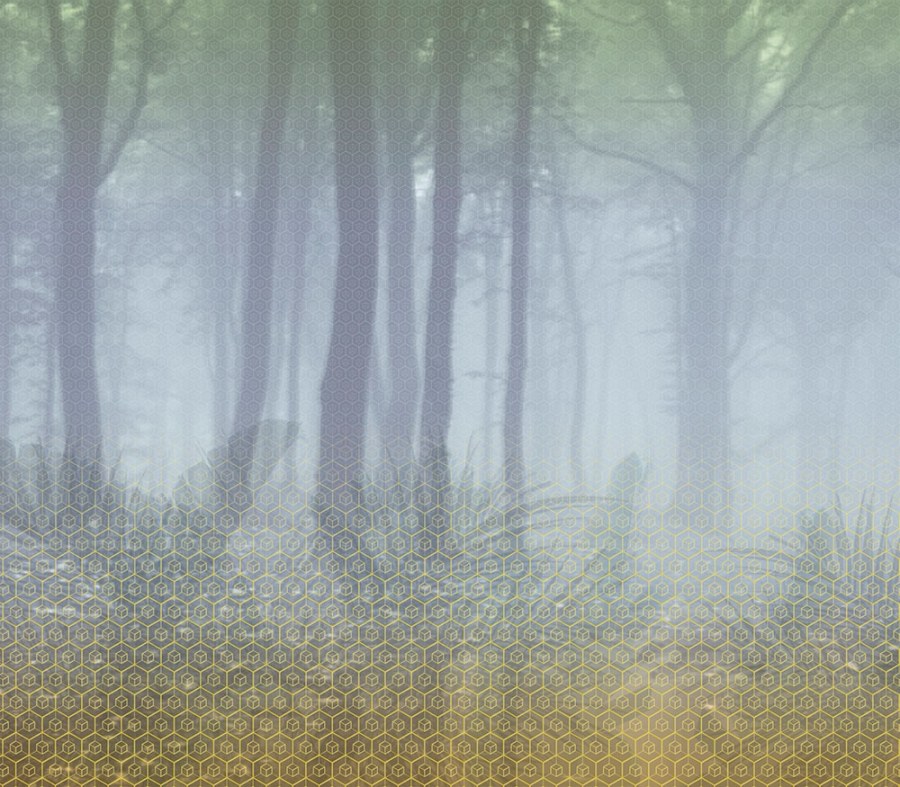 Vliesová obrazová tapeta 200285, Digital-Seasons - Summer, 320 x 280 cm, Dimensions, BN Walls - Tapety na zeď