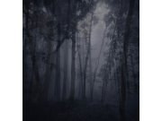 Vliesová obrazová tapeta TPD21297, Forest, 270 x 280 cm, Passenger, Decoprint