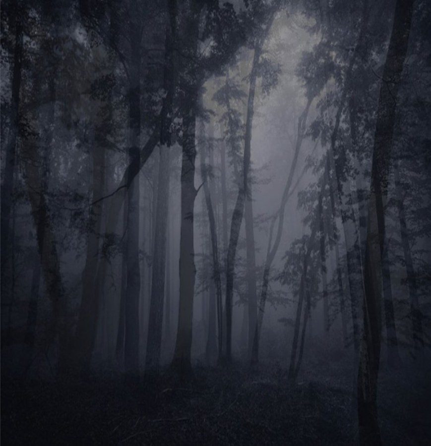 Vliesová obrazová tapeta TPD21297, Forest, 270 x 280 cm, Passenger, Decoprint - Tapety na zeď