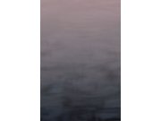 Vliesová obrazová tapeta OND22061, 200 x 300 cm, Sublime, Onirique, Decoprint