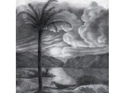 Vliesová obrazová tapeta OND22090, 300 x 300 cm, Isola, Onirique, Decoprint