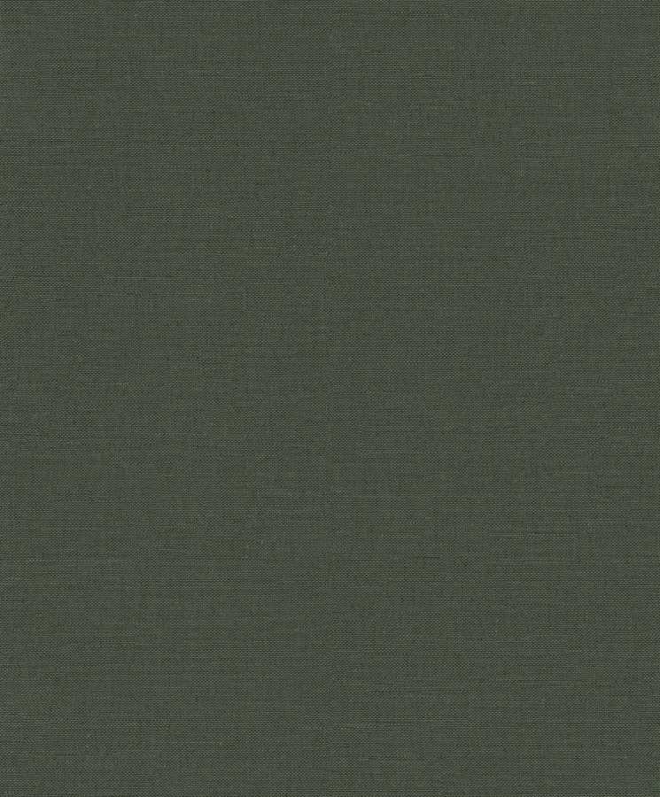 Zelená vliesová tapeta na zeď, RTS511, Wall Designs III, Khroma by Masureel Zelená vliesová tapeta na zeď, RTS511, Wall Designs III, Khroma by Masureel