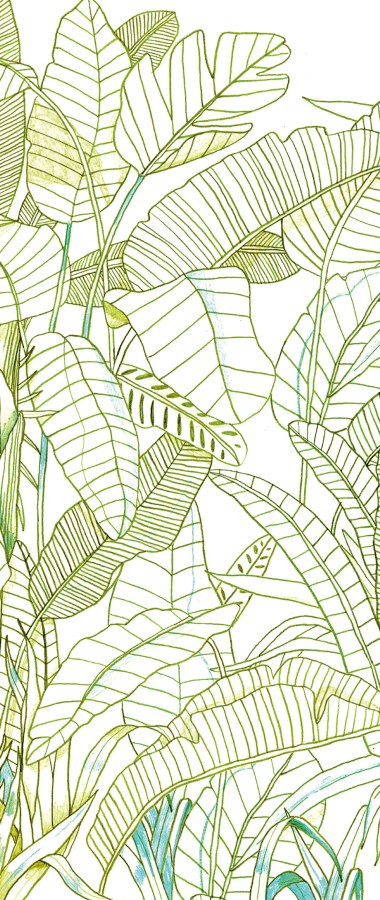 Zelená vliesová fototapeta na zeď, Listy, DG3GRA1013, Wall Designs III, Khroma by Masureel