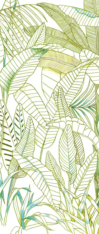 Zelená vliesová fototapeta na zeď, Listy, DG3GRA1012, Wall Designs III, Khroma by Masureel Zelená vliesová fototapeta na zeď, Listy, DG3GRA1012, Wall Designs III, Khroma by Masureel