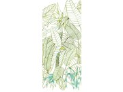 Zelená vliesová fototapeta na zeď, Listy, DG3GRA1011, Wall Designs III, Khroma by Masureel