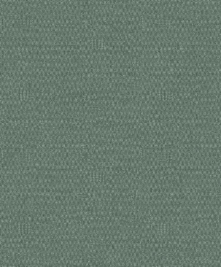 Zelená vliesová tapeta na zeď, imitace látky, RYT007, Spirit of Nature, Summer, Wall Designs III, Khroma by Masureel - Vliesové tapety