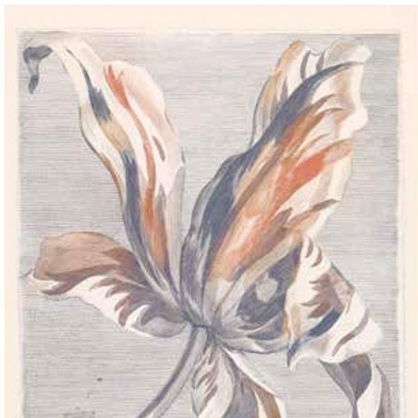 Tapety Yara - Tapety dle materiálu - Vliesové tapety - Vliesová obrazová tapeta na zeď, 358116, Masterpiece, Eijffinger Vliesová obrazová tapeta na zeď, 358116, Masterpiece, Eijffinger - Vliesové tapety