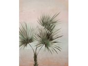 Vliesová obrazová tapeta 391564, Palm, 225 x 300 cm, Terra, Eijffinger