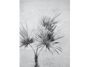 Vliesová obrazová tapeta 391567, Palm, 225 x 300 cm, Terra, Eijffinger Tapety Yara - Eijffinger