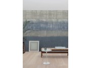 Vliesová obrazová tapeta CE6001, 212 x 280 cm, Aurora 2022, Grandeco