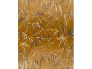 Okrová vliesová tapeta na zeď, trávy, 120405, Wiltshire Meadow, Clarissa Hulse